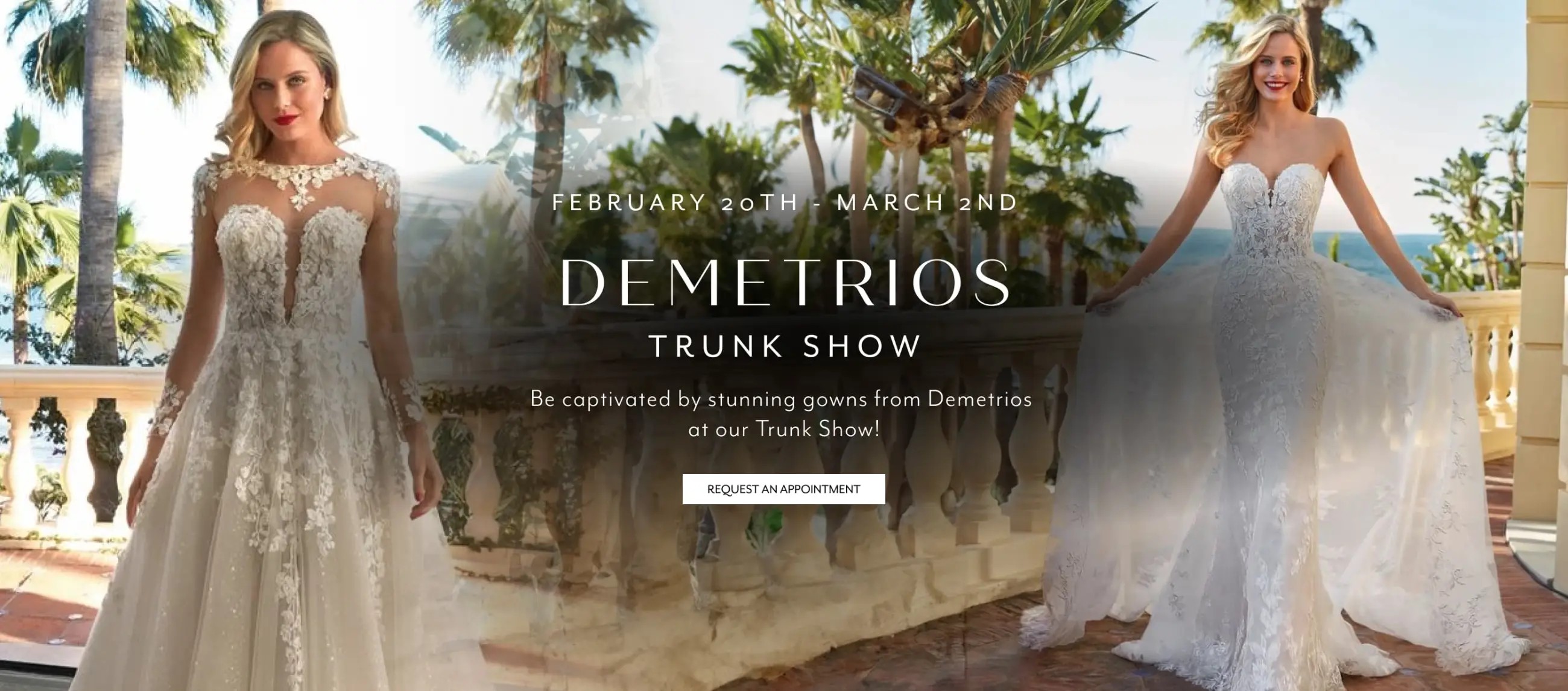 Demetrios Trunk Show Desktop Banner