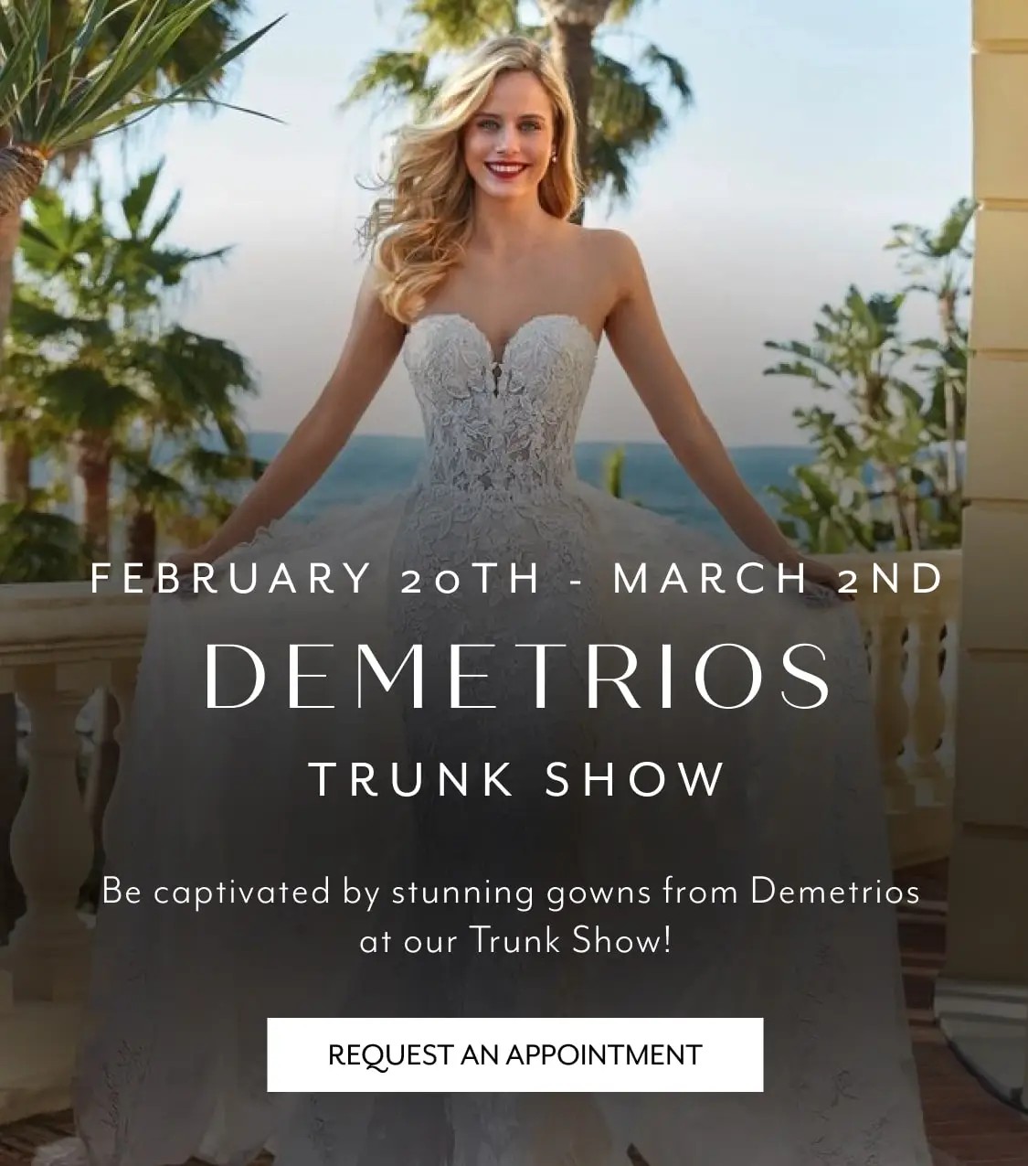 Demetrios Trunk Show Mobile Banner